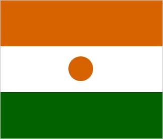 Niger Flag